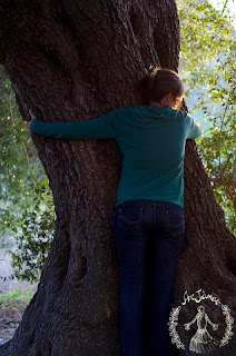 abbraccio albero