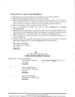 Job Vacancy at Bukoba District - Village Executive Officer (VEO) Watendaji 2022