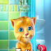 Talking Ginger APK