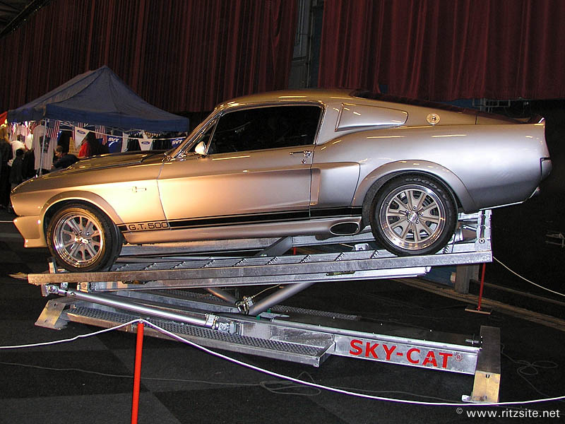 Ford Mustang GT 500 Shelby Eleanor 1967 Picture Gallery