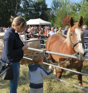 Fiera del bestiame e delle macchine agricole della Valle San Martino 19 settembre Brivio (LC) 