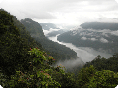 Kodachadri Hill Station