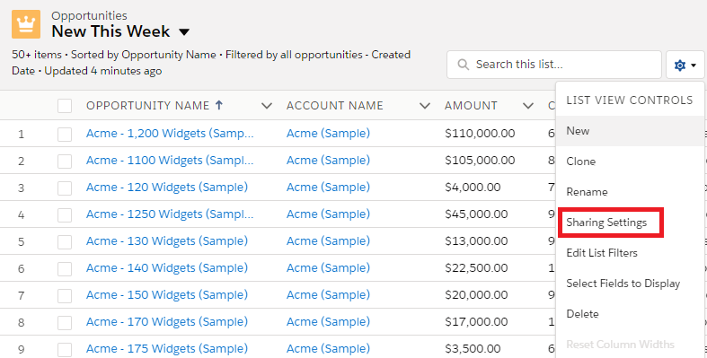 Infallibletechie List View Sharing In Salesforce