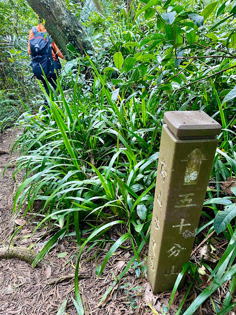 往鳶山彩壁