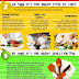    How to Choose a Cooking Class That’s Right for You