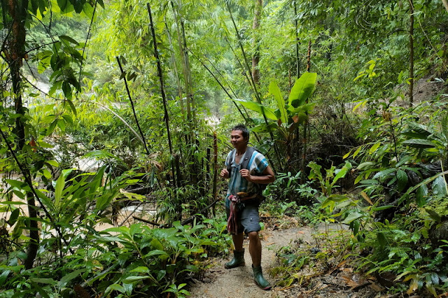 Mae Wang National Park