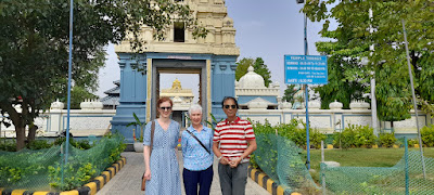 https://gowithharry.com/delhi-tour-guide/