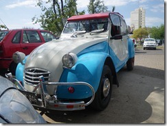 IMGP6831