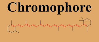 Which Components is Responsible to Produce Color?