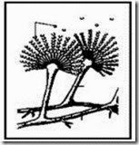 clip_image014