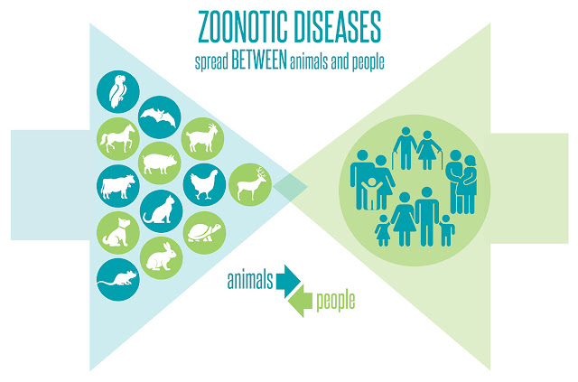 Zoonotic Diseases Spread Between Animals And People