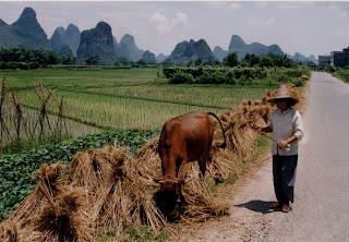 microfinance chine