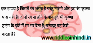 झंडे का रंग - Dimagi Paheli Image With Answer