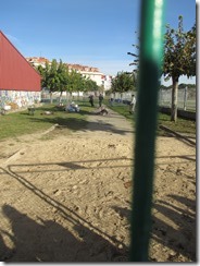 IMG_0253