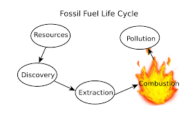 CONVENTIONAL SOURCES OF ENERGY,Coke,  Petroleum, Petroleum gas, Natural Gas