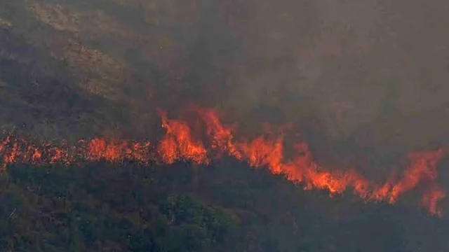 Υψηλός κίνδυνος πυρκαγιάς και στην Αργολίδα την Δευτέρα 23/8 - Εναέριες περιπολίες - Στρατός και αστυνομία σε δάση και βουνά