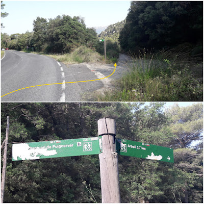 GR-7 Coll de la Teixeta a Arbolí, Coll d'Alforja a la carretera C-242