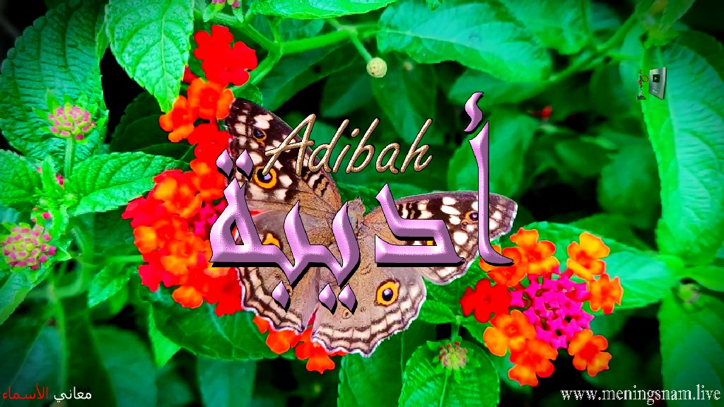 معنى اسم, اديبة, وصفات حاملة, هذا الاسم, Adibah,