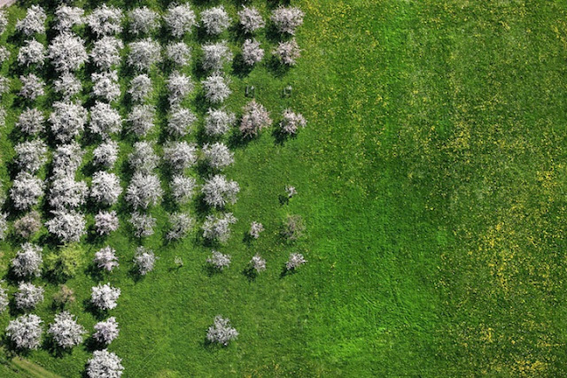 Beautiful Birds's Eye View Photography