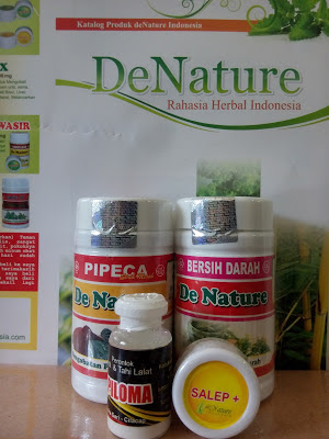 Obat Herbal Kutil Kelamin