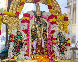 MadhaPurppadu,Thai,Ekadesi,Vaibhavam,Dharisanam, Sri PArthasarathy Perumal, Perumal, Venkata Krishna , Varushotsavam, 2018, Video, Divya Prabhandam,Triplicane,Thiruvallikeni,Utsavam,