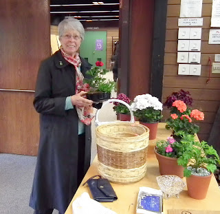 The winner of our miniature agrden at 2011 Plant Sale of Canadian Geranium and Pelargonium Society