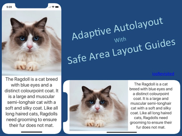 Adaptive Autolayout Programmatically For iPhone X Using SafeAreaLayoutGuide - Swift 4