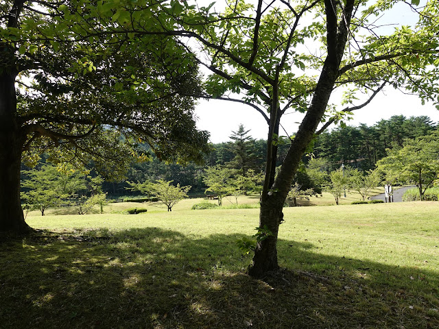 大和ハウス工業ロイヤルシティ大山リゾートの別荘地の大成池公園