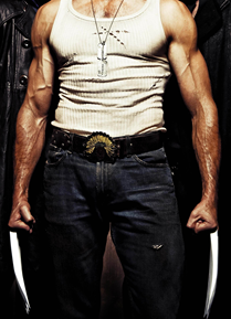 wolverine