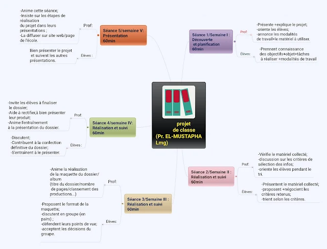 Résumé des séances de la discipline : projet de classe en 6ème année 