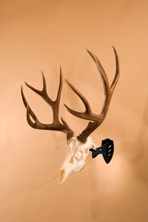 Skull Hooker