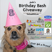 Jada's Birthday Bash Giveaway