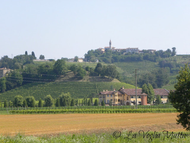 Collio goriziano