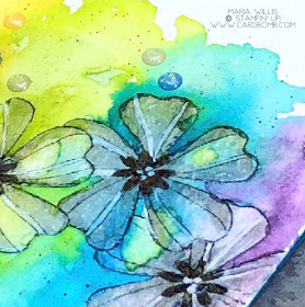 #cardbomb, #mariawillis, #stampinup,  #video, #videotutorial,  #stamparatus, #stamping, #ink, #paper, #papercraft, #flowershop, #techniques, #masking, #watercolor, #stampinblends, #rainbow, #handmade, #diy, #color, #creative, #crafty, #cards, 