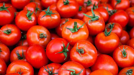Benefits of Tomato and Why It is Important to Eat