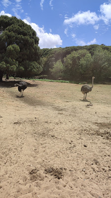 Badoca Safari Park