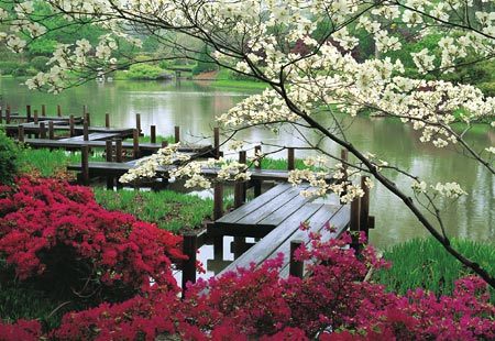 7 Konsep Taman Bunga Paling Indah Di Dunia [ www.BlogApaAja.com ]