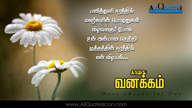 25 Top Tamil Good Morning Kavithaigal Pictures Best Good Morning Tamil Quotations Images
