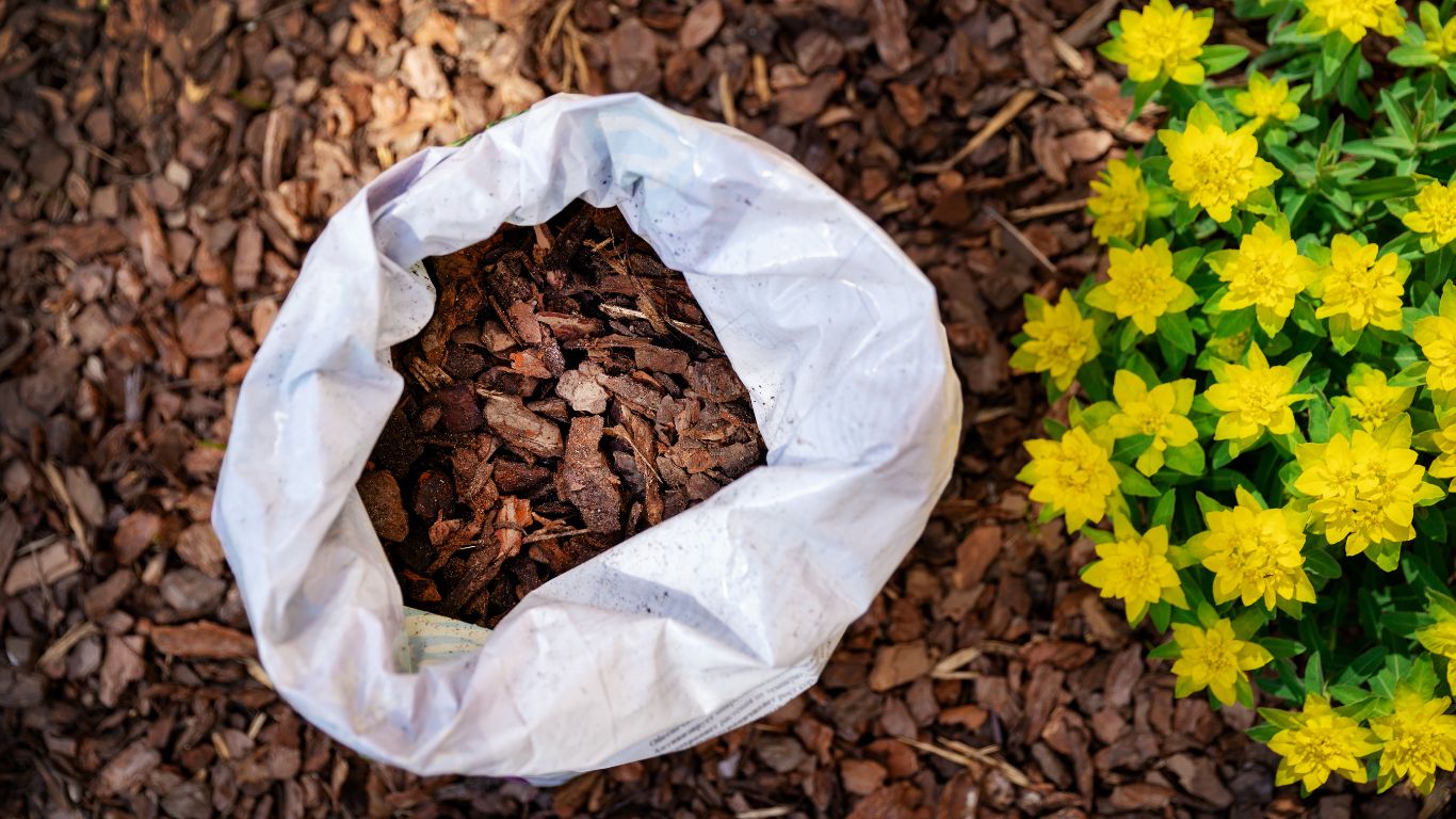 Embrace the magic of mulching, your garden's multitasker. From conserving moisture to regulating temperature and suppressing weeds, organic mulches like straw or wood chips gradually break down, contributing to long-term soil health.