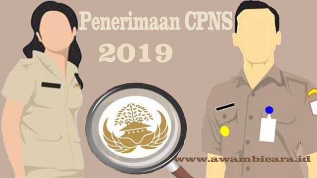 Kepastian Jadwal Pendaftaran Cpns 2019 Setelah Pilpres 2019