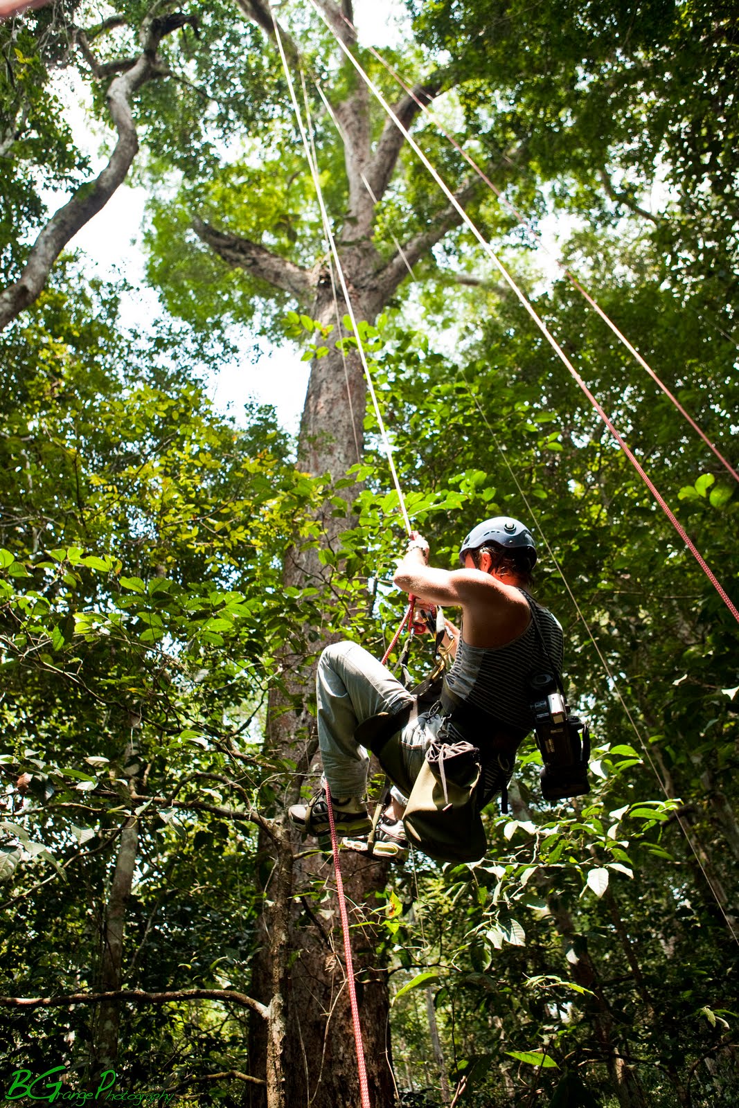 BGrange Photography Amazon Tree Climbing 