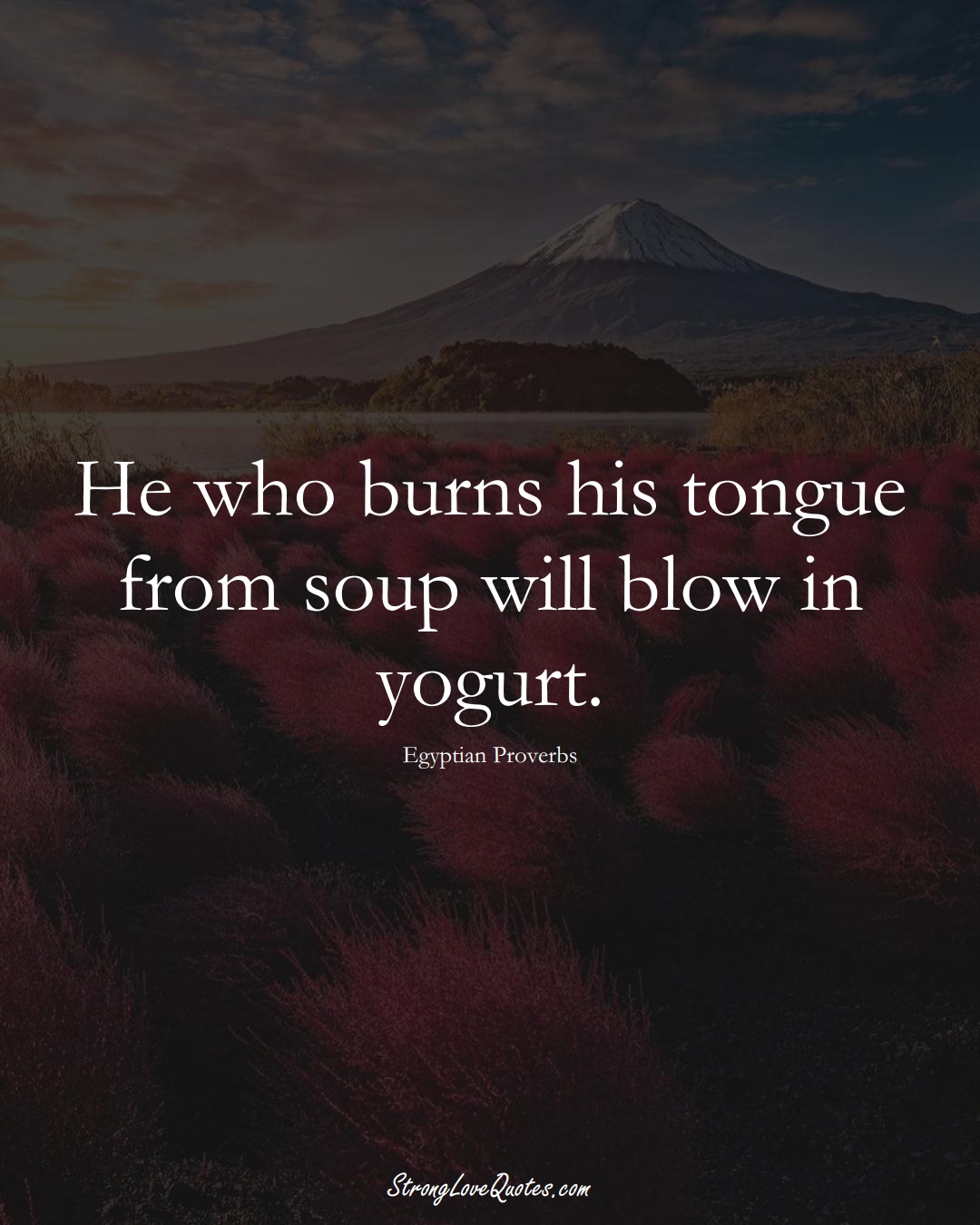 He who burns his tongue from soup will blow in yogurt. (Egyptian Sayings);  #MiddleEasternSayings