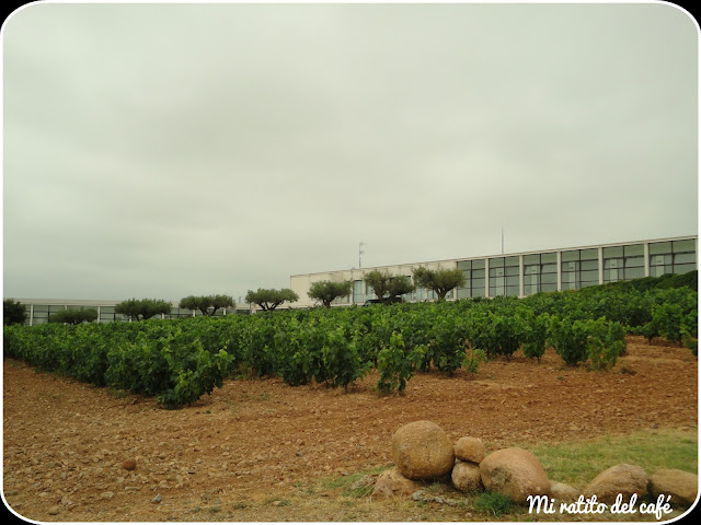 Hotel Bodega Finca Los Arandinos