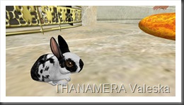 Snapshot_018