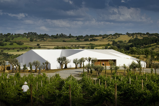 Picture of modern white building built in the vineyards 
