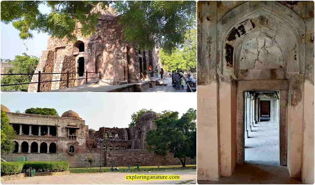6 famous things to explore in Hauz I Alai, best visiting places in Delhi, Hauz Khas