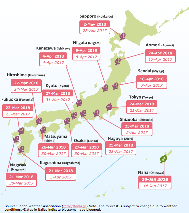2018 Japan Cherry Blossom Forecast | www.bigdreamerblog.com