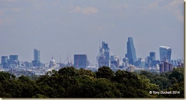 DSC_6520-001