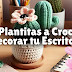 8 Tutoriales de Plantitas, Cactus y Flores a Crochet para Decorar tu Escritorio 🌵