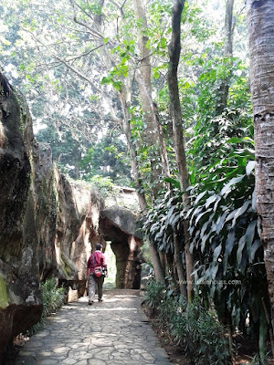 Main ke kebun binatang ragunan, jakarta. Harga tiket murah yang cuman Rp4.000,-  puas banget keliling dan melihat semua binatang di sini!